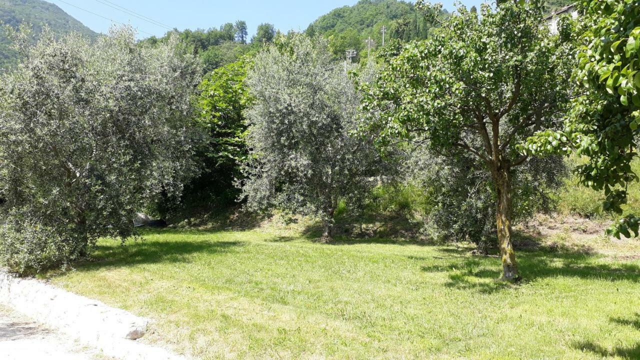 Villa Casa Gina Garden And View By Gardadomusmea Tremosine Esterno foto